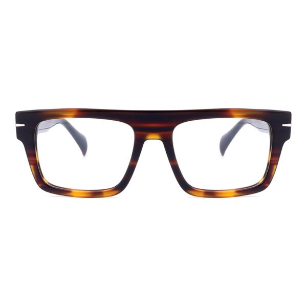 Acetate Glasses VG5048 C2, Tortoise Front View