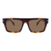 Acetate Sunglasses, C2, VG5048S, Tortoise, Polarized Lenses, Front View