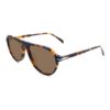 Acetate Sunglasses VG5046S C2, Hawksbill