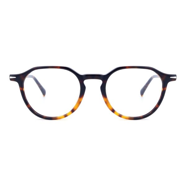 Acetate Glasses VG5040 C2, Tortoise Shell, Pantos, Front View