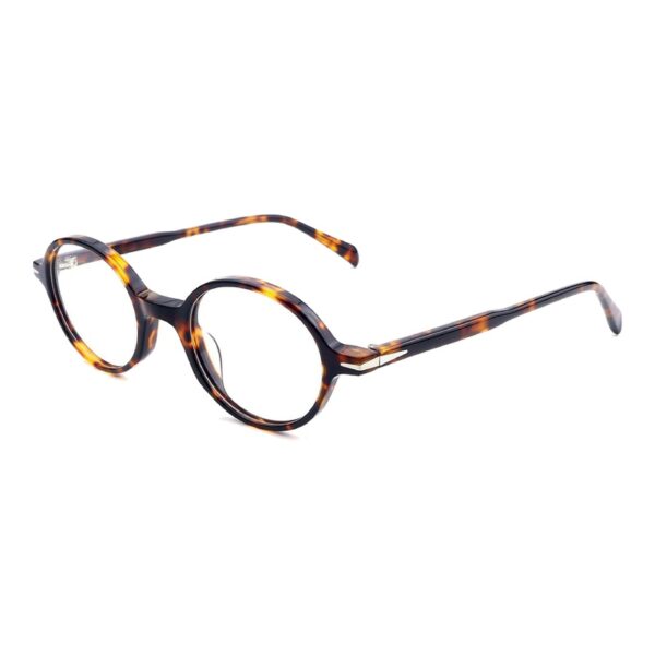 Acetate Glasses VG5041 C2, Tortoise Shell, Round, Three-quarter View
