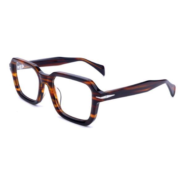 Acetate Glasses VG5042 C2, Hawksbill, Irregular Hexagon, Three-quarter View