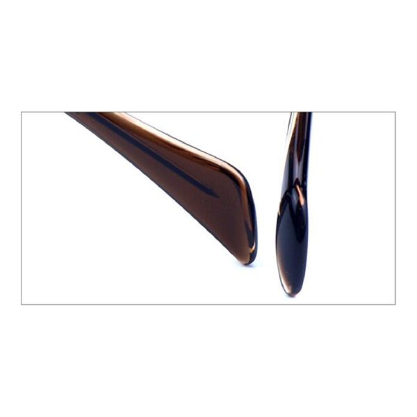 Acetate Glasses VG5042, Temple Tips