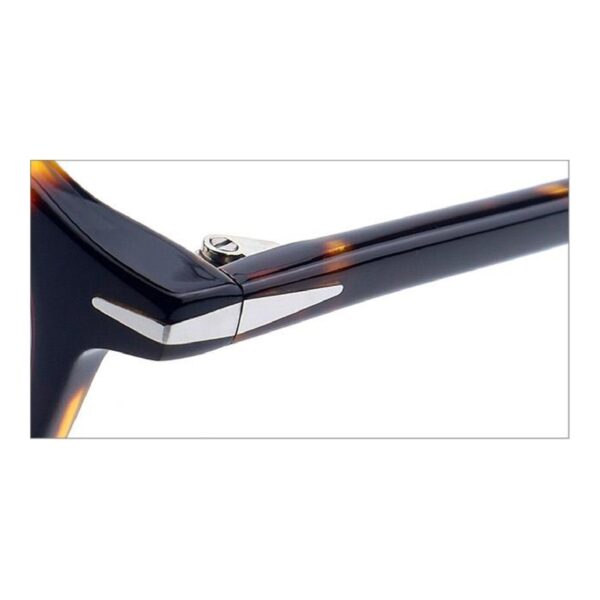Acetate Glasses VG5045, Endpieces