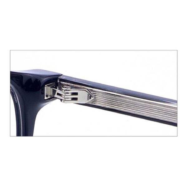 Acetate Sunglasses VG5044S, 5-barrel Hinge